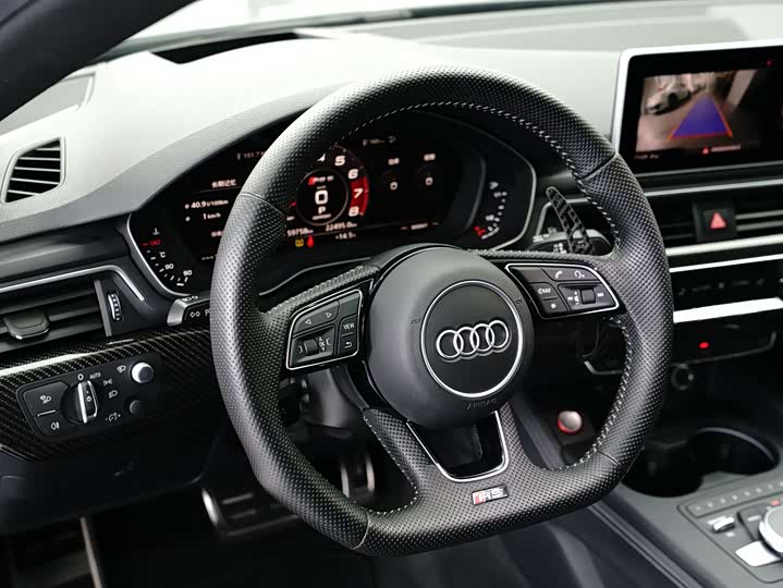 Audi RS5 2019 RS 5 2.9 T Sportback — фото 27