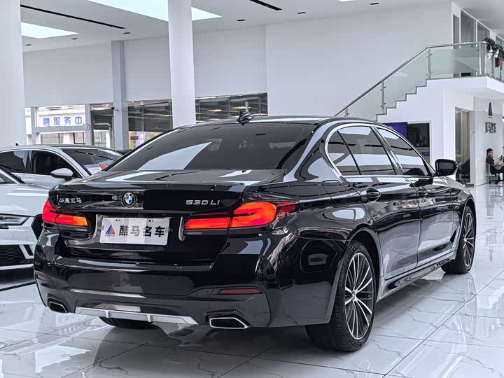 BMW 5-Series 2023 530 Li Leading M — фото 13