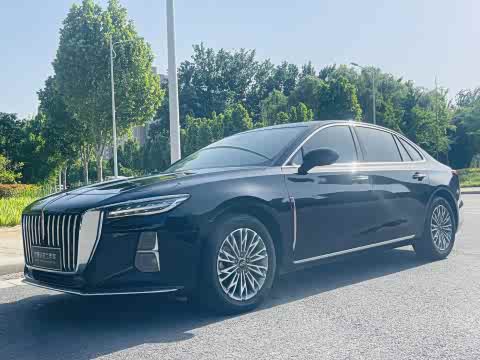 Hongqi H5 2024 1.5 T DCT — фото 30