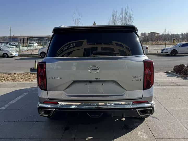 Trumpchi GS8 2022 2.0 TM 2 WD ( ) — фото 4
