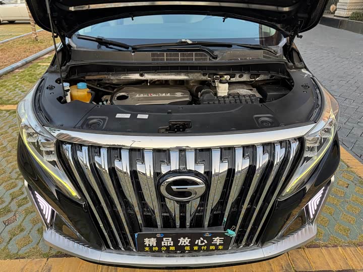 Trumpchi M8 2018 320 T — фото 22