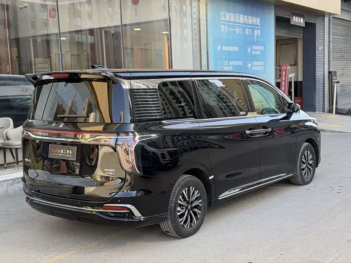 Hongqi HQ9 PHEV 2024 2.0 T 4 WD — фото 8