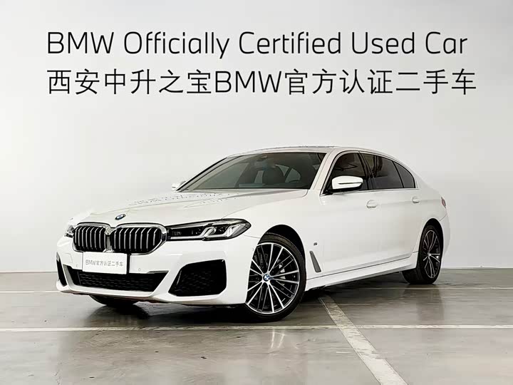 BMW 5-Series 2021 530 Li Leading M — фото 1