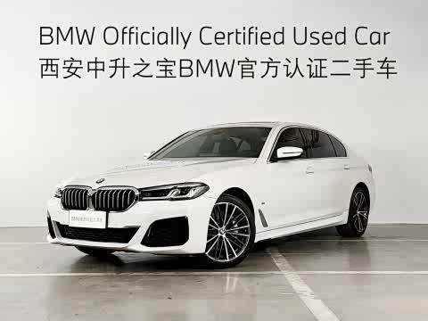 BMW 5-Series 2021 530 Li Leading M — фото 22