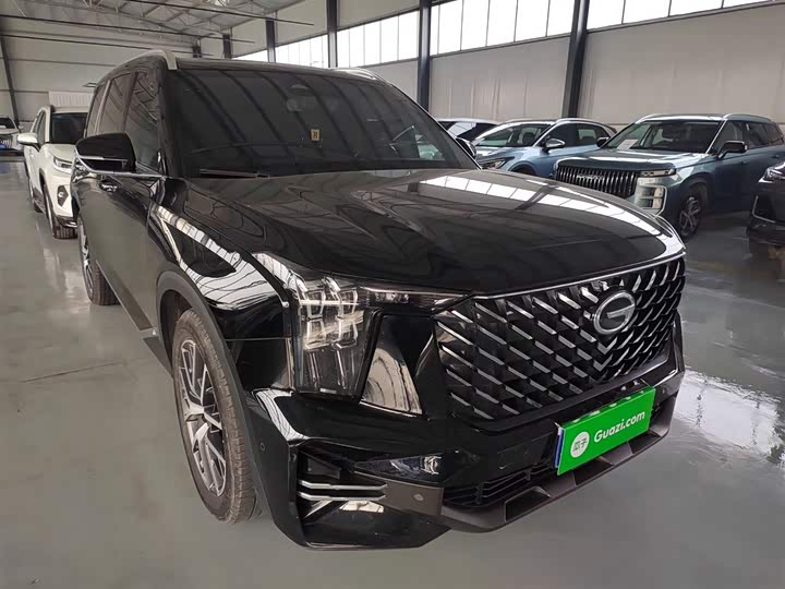 Trumpchi GS8 2022 2.0 TGDI 2 WD ( ) — фото 22