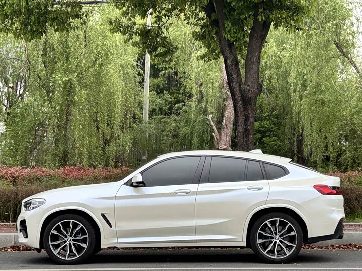 BMW X4 2020 x Drive 30i M — фото 4