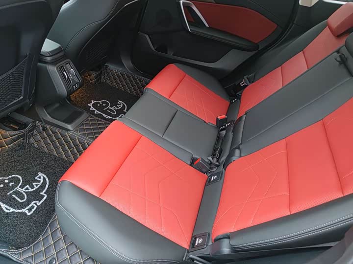 BMW X1 2023 x Drive 25 Li X — фото 9