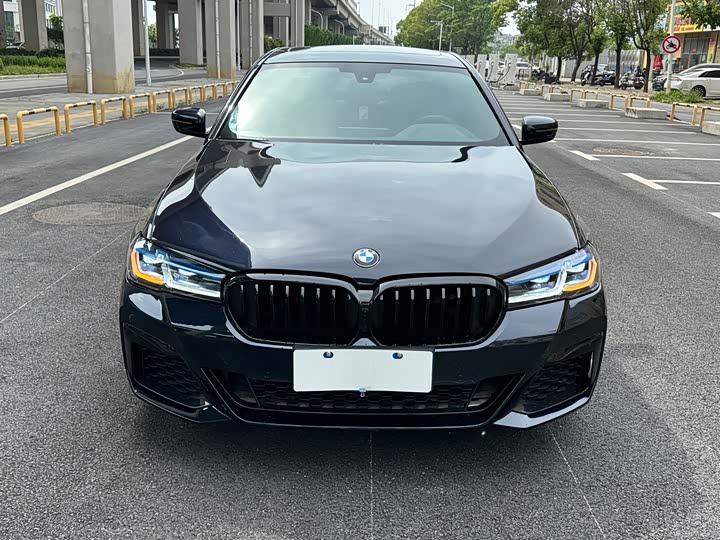 BMW 5-Series 2020 530 Li Leading M — фото 2
