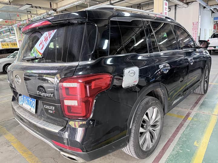 Trumpchi GS8 2017 320 T 2 WD ( ) — фото 18
