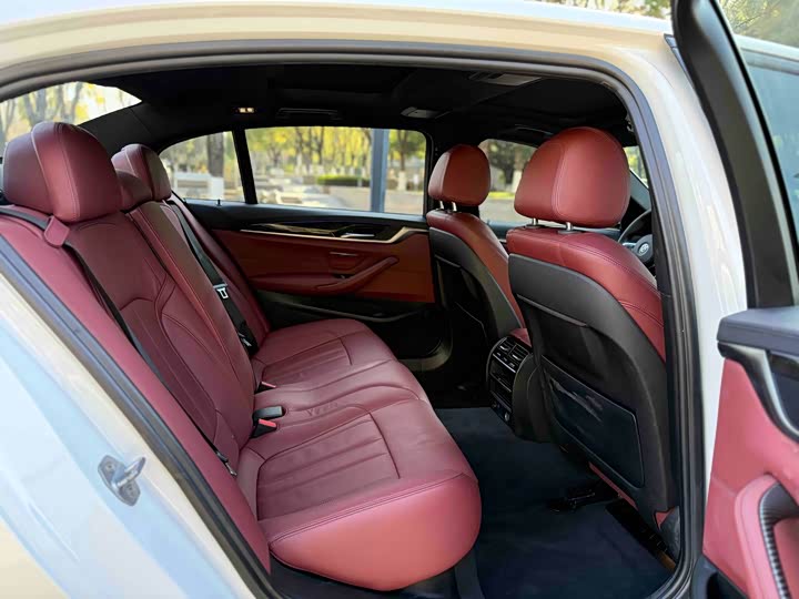 BMW 5-Series 2019 530 Li Leading M — фото 11