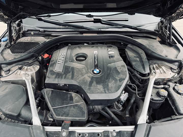 BMW 5-Series 2018 530 Li Leading — фото 10