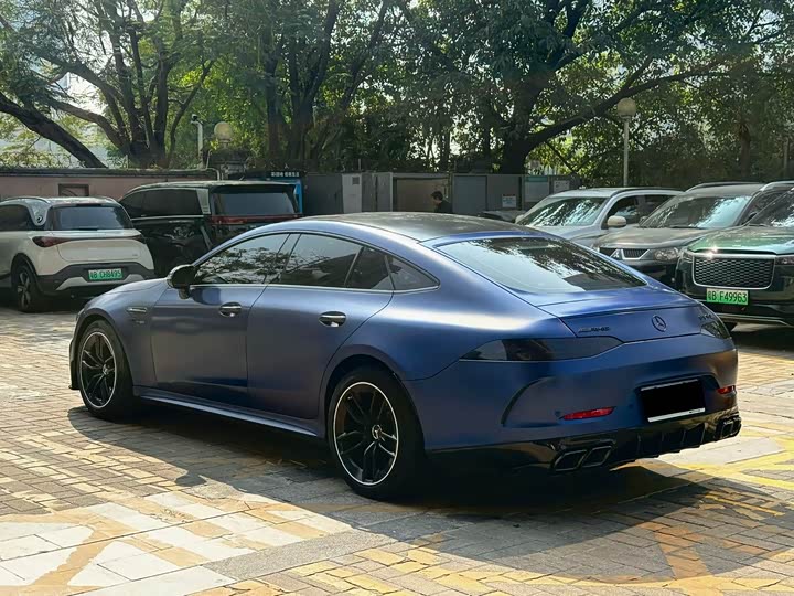 Mercedes-Benz AMG 2019 AMG GT 50 — фото 22