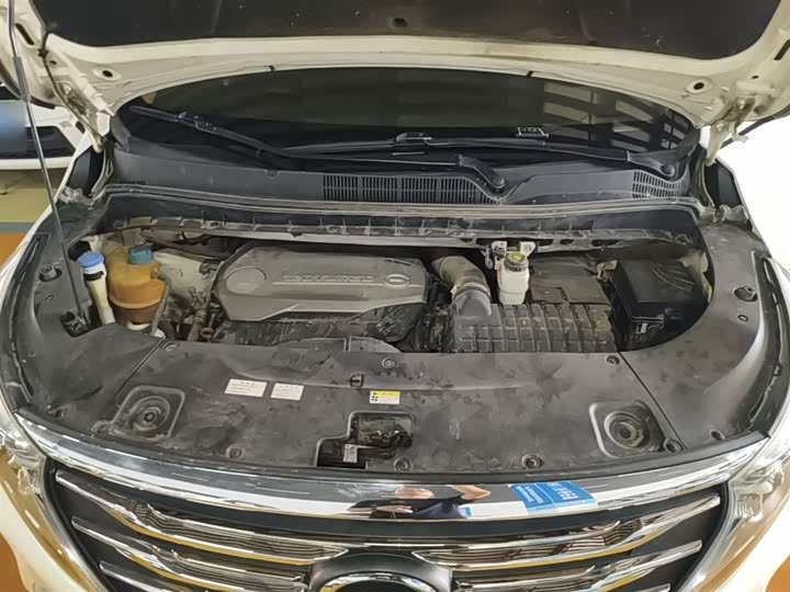 Trumpchi M8 2018 320 T — фото 20