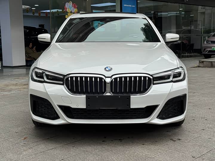 BMW 5-Series 2021 530 Li x Drive M — фото 2