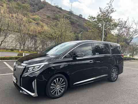 Trumpchi M8 2021 390 T — фото 18