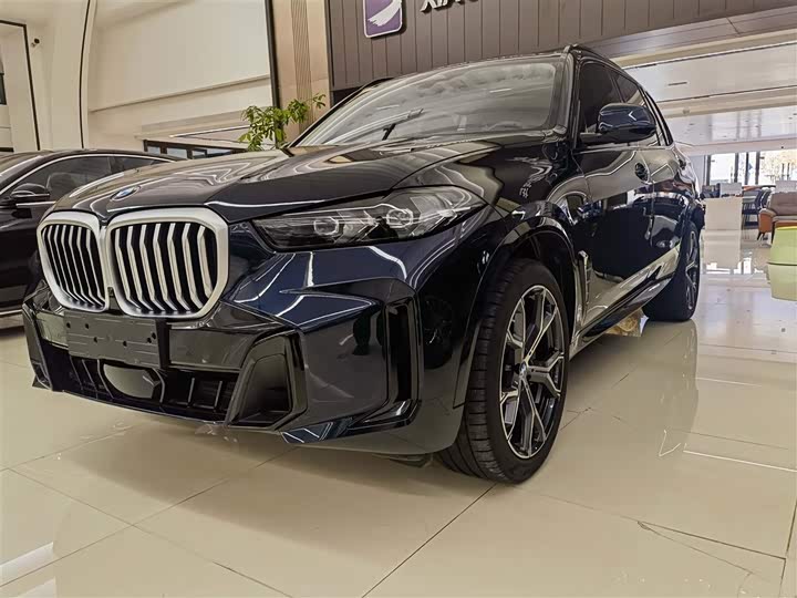 BMW X5 2023 x Drive 30 Li M — фото 1