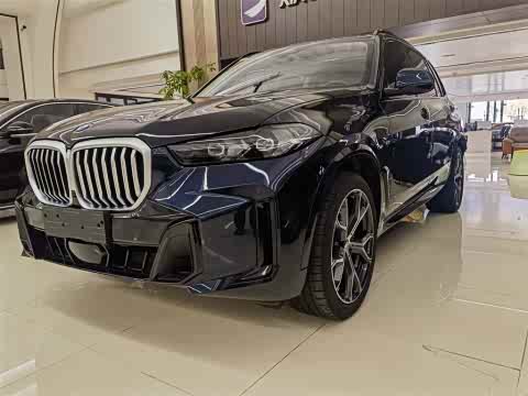 BMW X5 2023 x Drive 30 Li M — фото 20