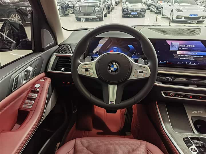 BMW X5 2023 x Drive 30 Li M — фото 14
