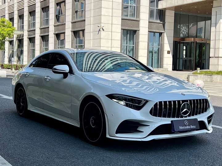Mercedes-Benz CLS 2021 CLS 300 Luxury — фото 3