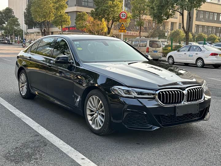 BMW 5-Series 2014 525 Li — фото 14