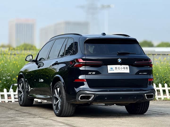 BMW X5 2023 x Drive 30 Li M — фото 6