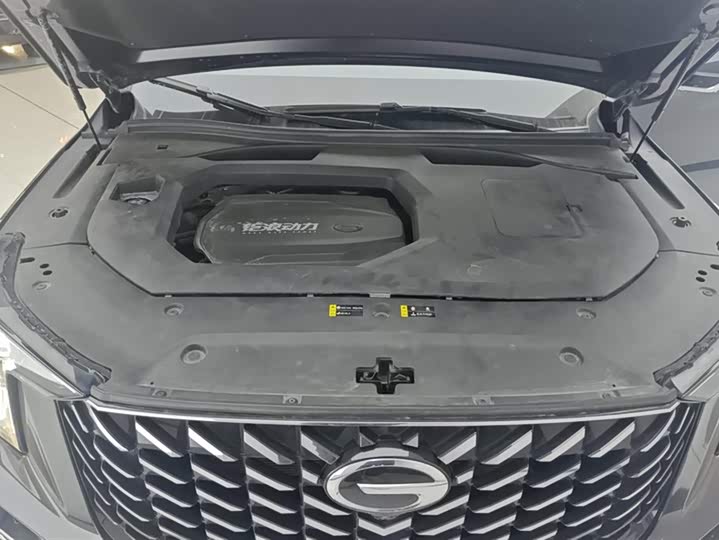 Trumpchi GS8 2022 2.0 TGDI 2 WD ( ) — фото 10