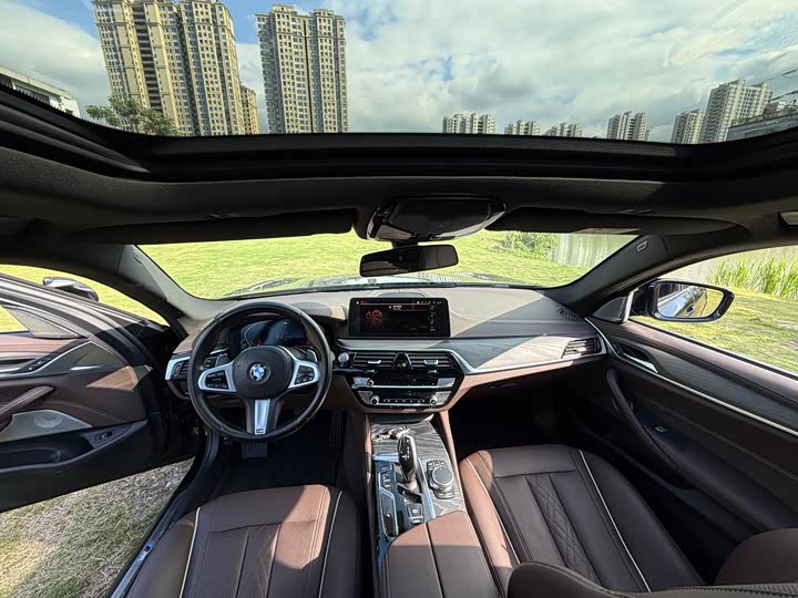 BMW 5-Series 2021 530 Li Leading M — фото 9