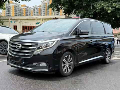 Trumpchi M8 2018 320 T — фото 17