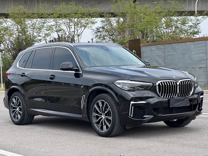BMW X5 2022 x Drive 30 Li M — фото 2