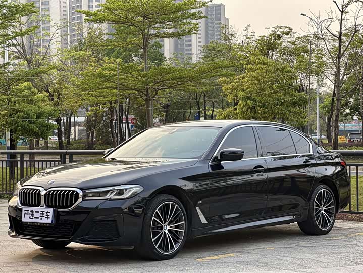 BMW 5-Series 2023 530 Li Leading M — фото 1