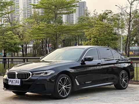BMW 5-Series 2023 530 Li Leading M — фото 17