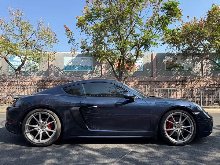 Porsche 718 2018 Cayman S 2.5 T — фото 11
