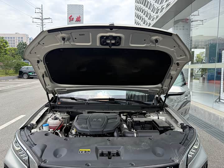 Hongqi HS5 2023 2.0 T 4 WD Pro — фото 15
