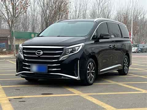Trumpchi M8 2023 390 T — фото 31