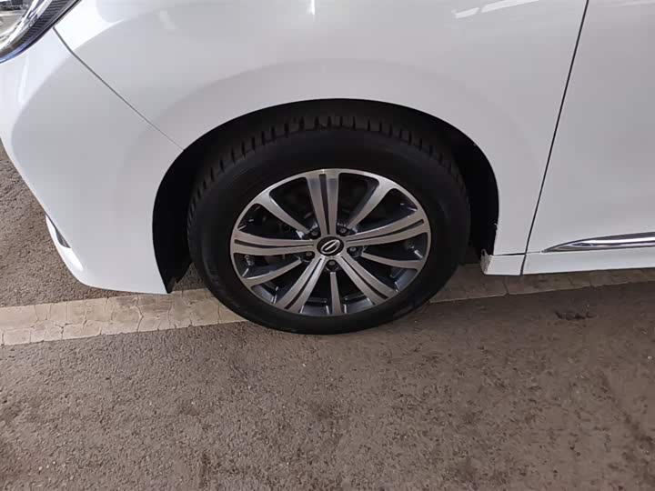 Trumpchi M8 2020 390 T — фото 23
