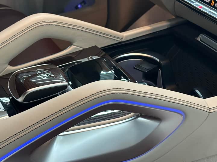Maybach GLS 2022 GLS 480 4 MATIC — фото 13