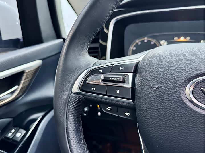 Trumpchi M8 2021 390 T — фото 19