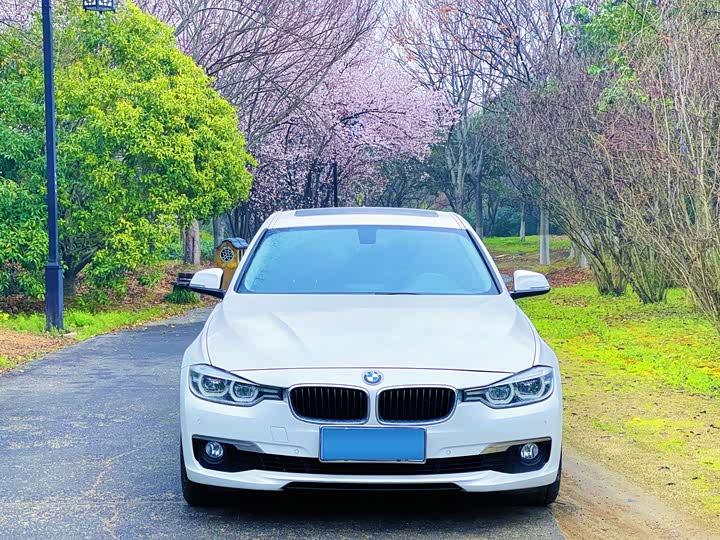 BMW 3 Series 320Li стиль — фото 2