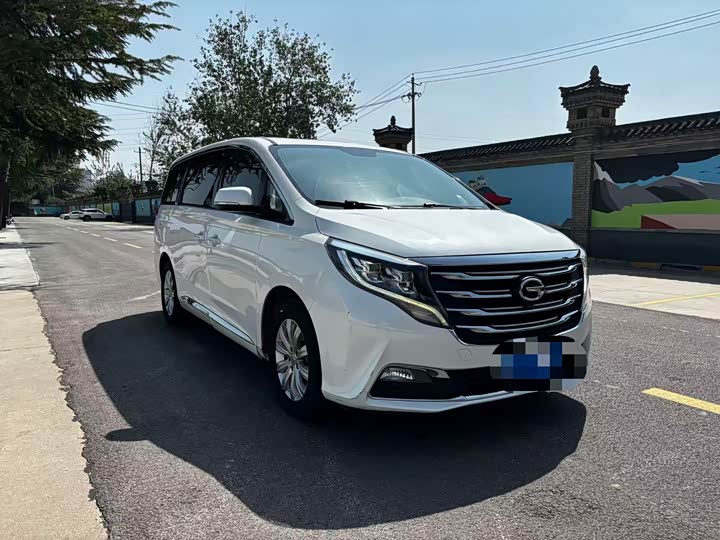 Trumpchi M8 2018 320 T — фото 13