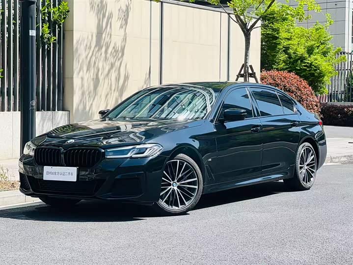 BMW 5-Series 2021 530 Li Leading M — фото 1