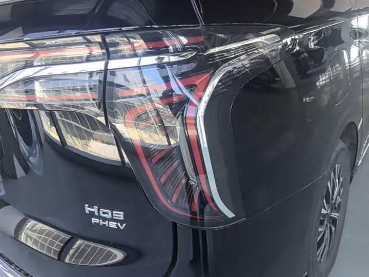 Hongqi HQ9 PHEV 2024 2.0 T 4 WD — фото 8