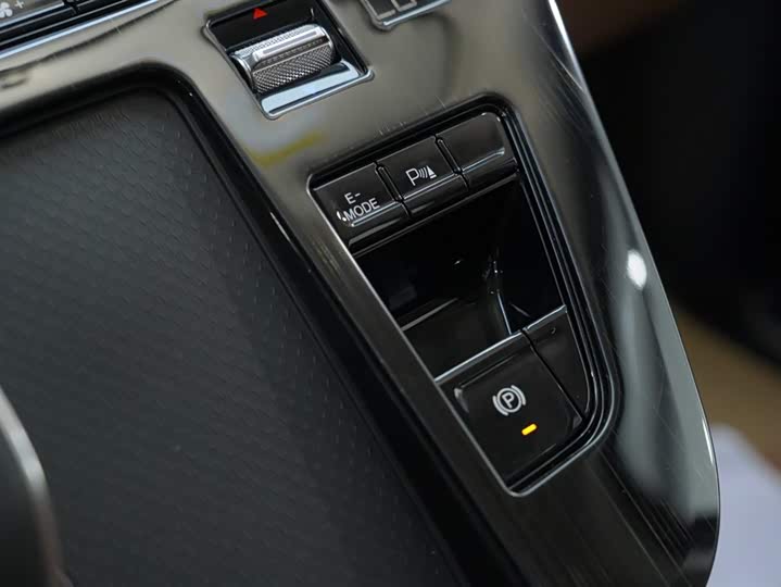 Hongqi HQ9 PHEV 2024 2.0 T 4 WD — фото 10