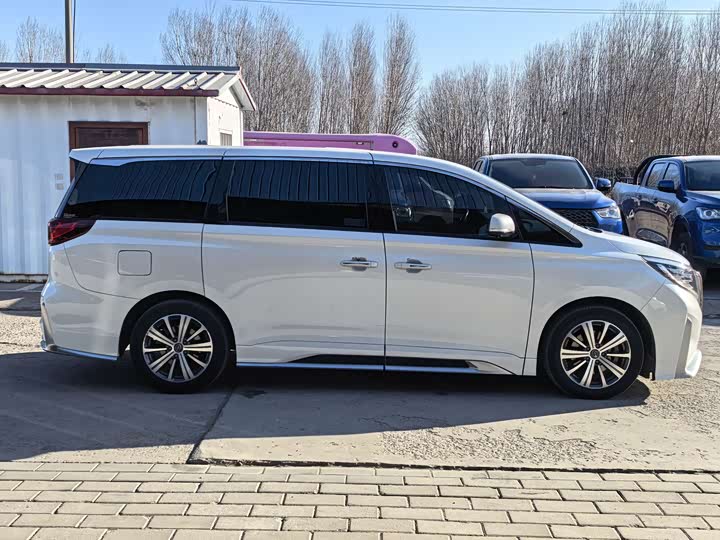 Trumpchi M8 2020 390 T — фото 6