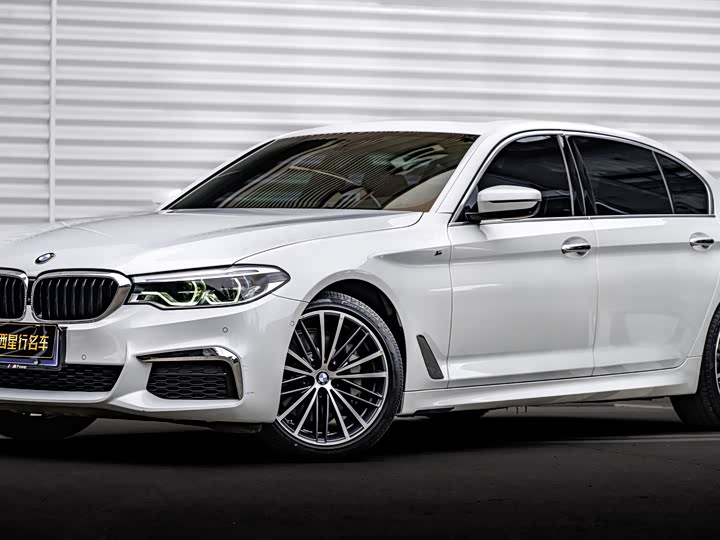 BMW 5-Series 2020 530 Li Leading M — фото 1