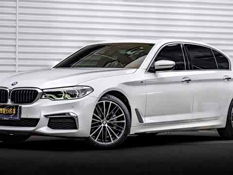 BMW 5-Series 2020 530 Li Leading M — фото 11