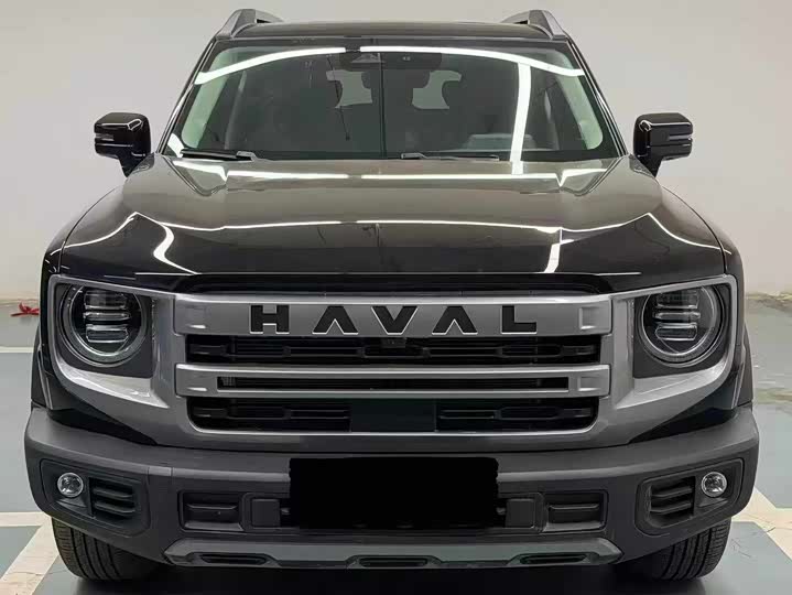 Haval Dargo — фото 2