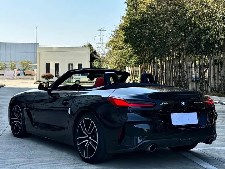 BMW Z 4 2019 s Drive 25i M — фото 11