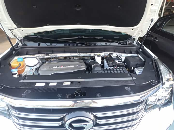 Trumpchi GS8 2017 320 T 2 WD ( ) — фото 16