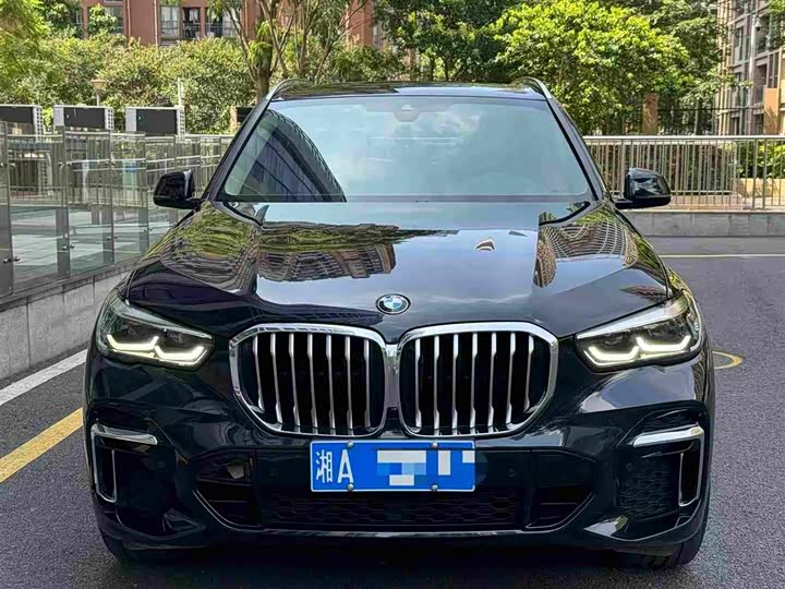 BMW X 5 2022 x Drive 30 Li M