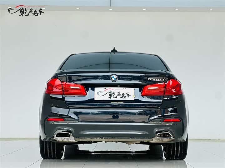 BMW 5-Series 2018 530 Li Leading M — фото 6